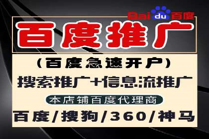 某某sem代运营推广公司：打造品牌营销新模式